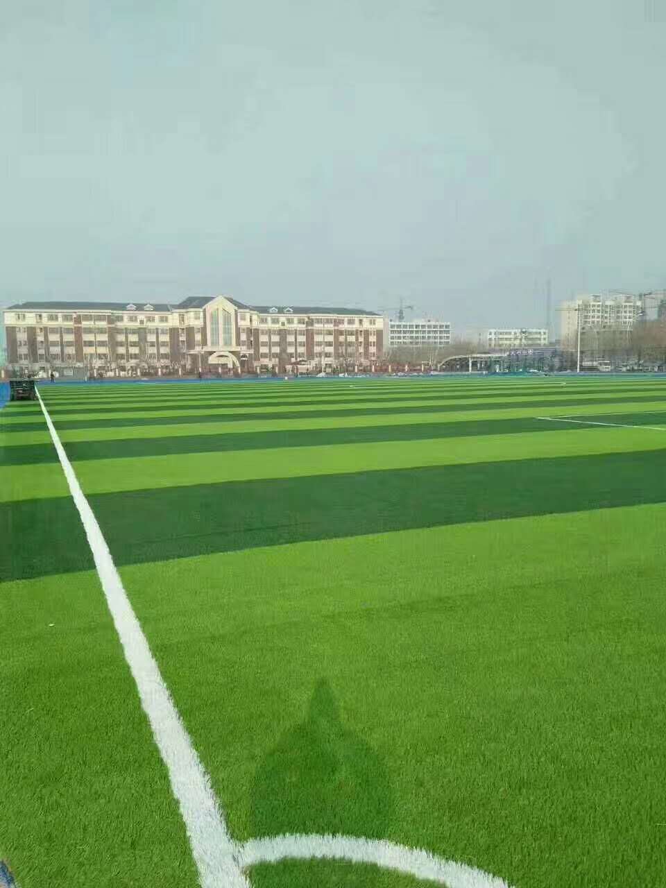 张掖市幼儿园塑胶跑道仿真草坪 - 价格